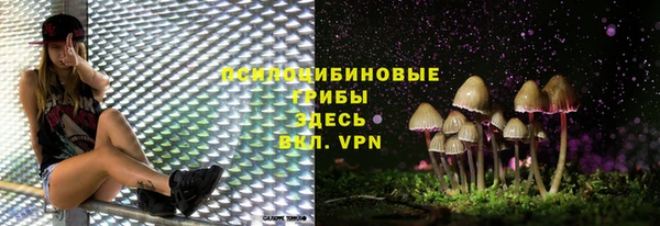 спиды Алексеевка